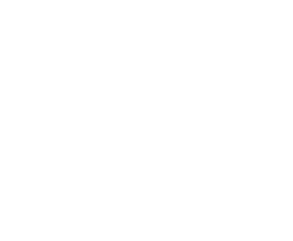 shape 13
